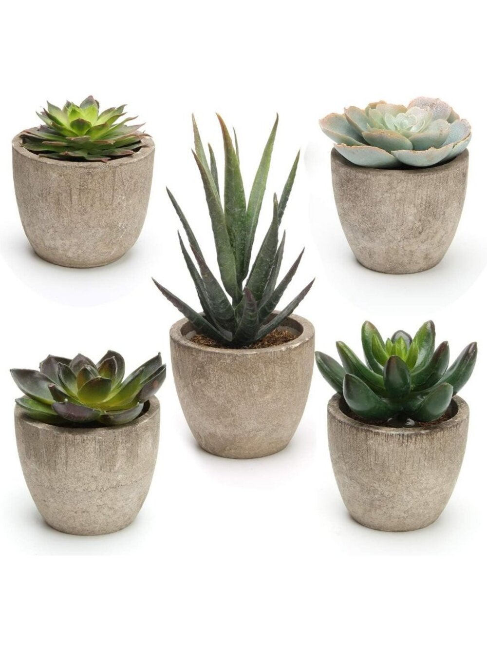 5 PCS Assorted Faux Succulent Plants in Pots | Decorative Indoor Cacti Decor